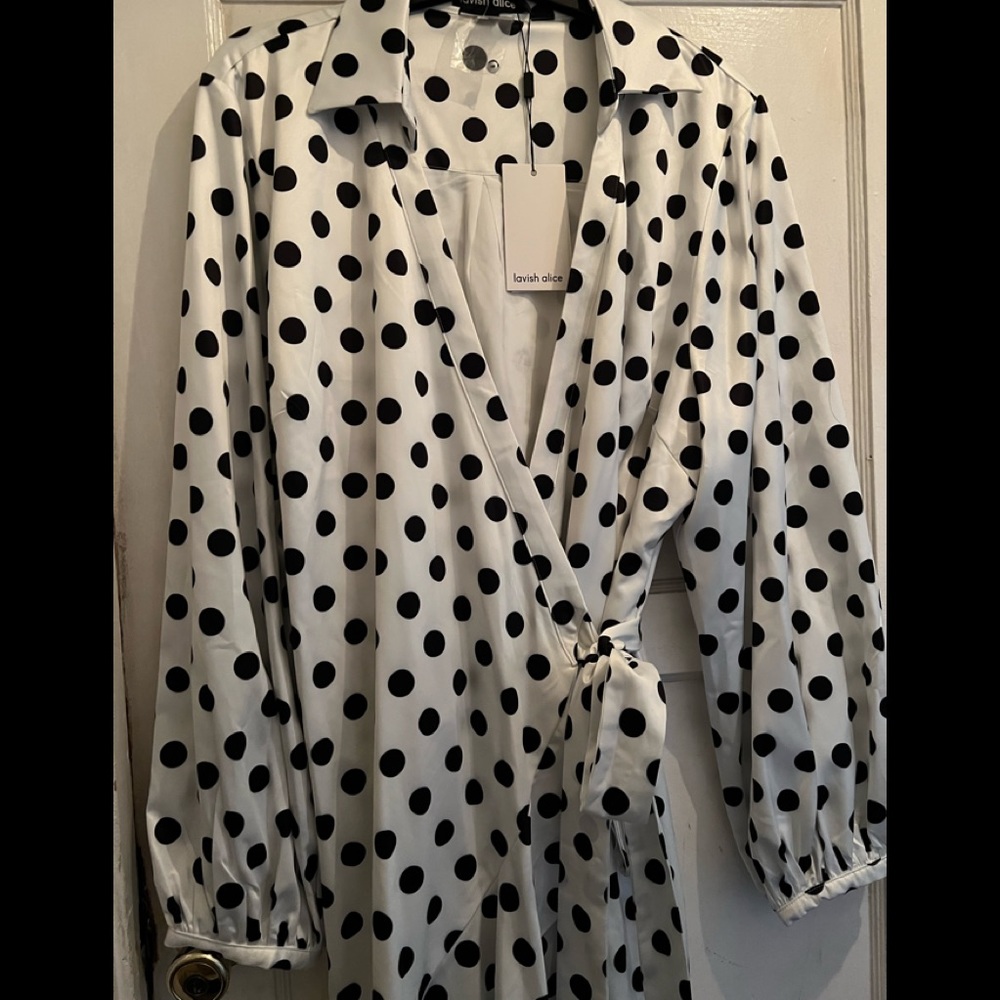 Polka Dot NWT lavishly Alice dress silk satin Never worn beautiful in person